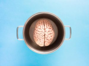 human-brain-model-in-pot-768x610.jpeg