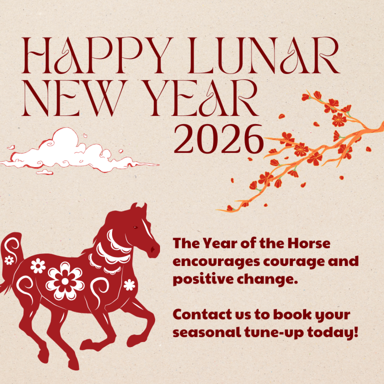 Chinese New Year 2026 - Year of the Horse - V5