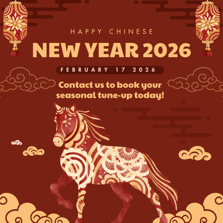 Chinese New Year 2026 - Year of the Horse - V6